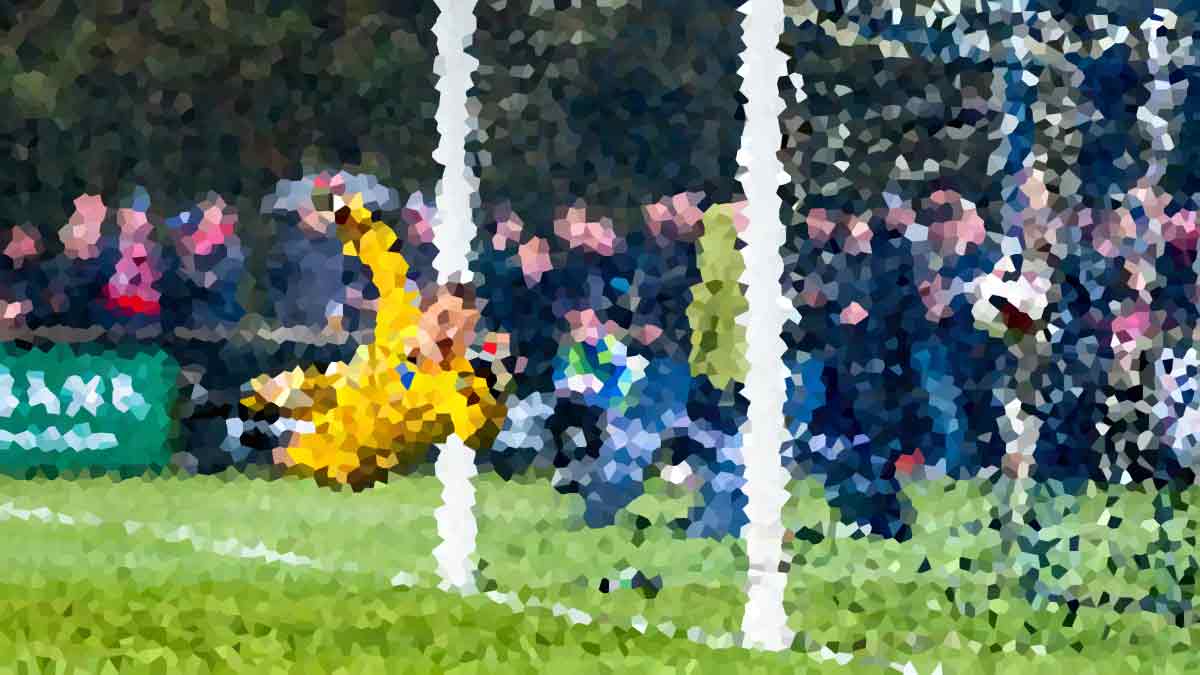 Unexpected Success of National Volleyball Team in Global Tournament